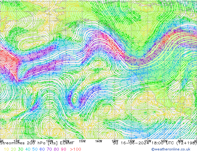 Linea di flusso 200 hPa ECMWF dom 16.06.2024 18 UTC