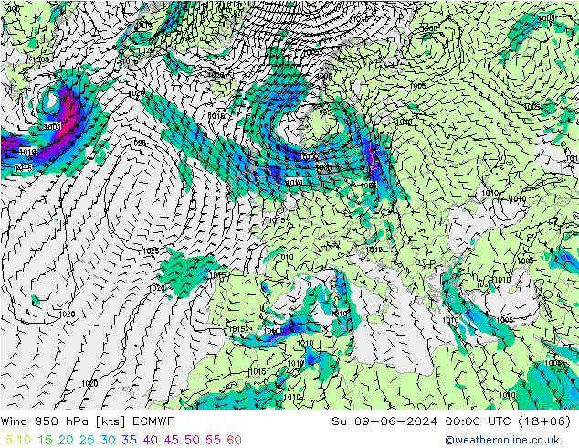 Wind 950 hPa ECMWF zo 09.06.2024 00 UTC