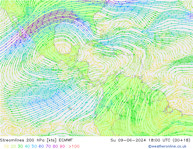 Streamlines 200 hPa ECMWF Ne 09.06.2024 18 UTC