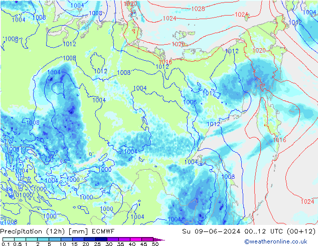 Precipitation (12h) ECMWF Su 09.06.2024 12 UTC