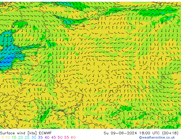 Prec 6h/Wind 10m/950 ECMWF dim 09.06.2024 18 UTC