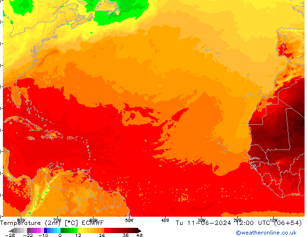 карта температуры ECMWF вт 11.06.2024 12 UTC