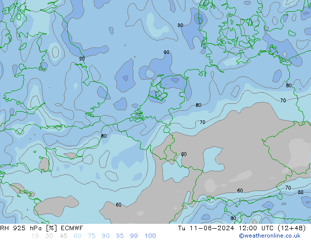 RH 925 hPa ECMWF Di 11.06.2024 12 UTC