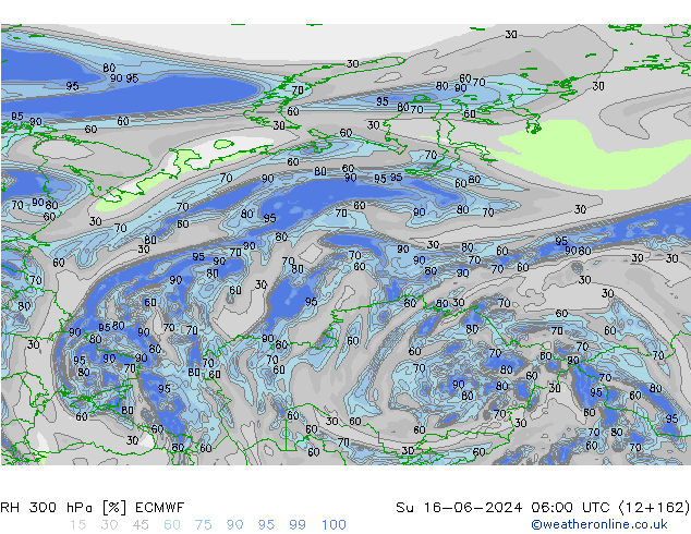 Humidité rel. 300 hPa ECMWF dim 16.06.2024 06 UTC