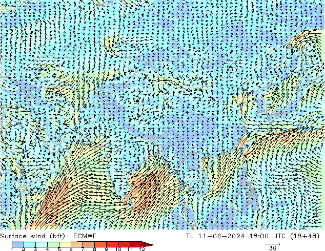 Surface wind (bft) ECMWF Tu 11.06.2024 18 UTC