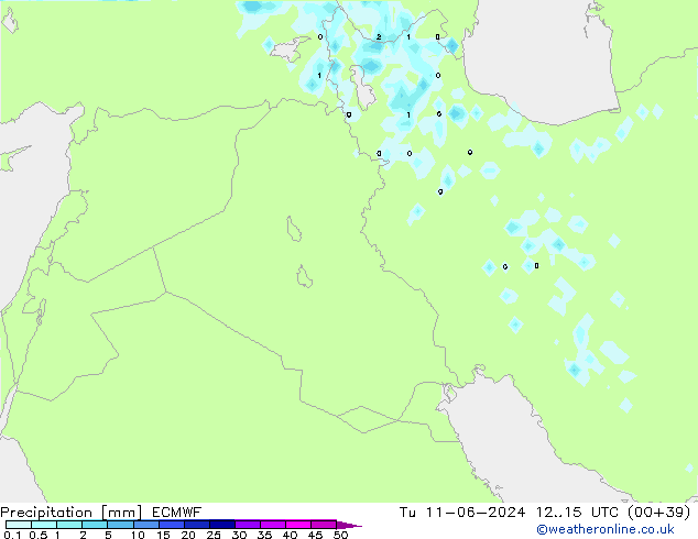 Niederschlag ECMWF Di 11.06.2024 15 UTC