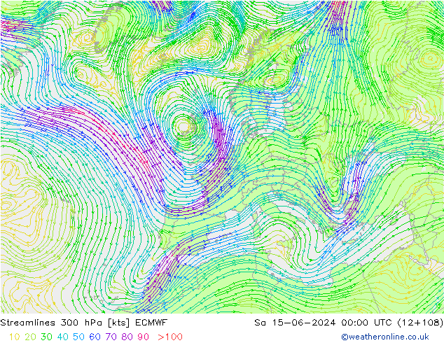 ветер 300 гПа ECMWF сб 15.06.2024 00 UTC