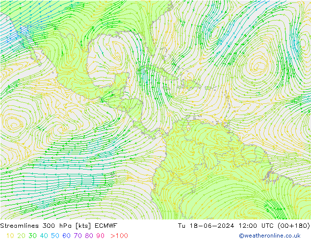 Streamlines 300 hPa ECMWF Tu 18.06.2024 12 UTC