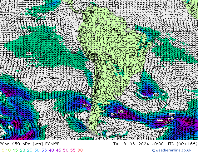  950 hPa ECMWF  18.06.2024 00 UTC