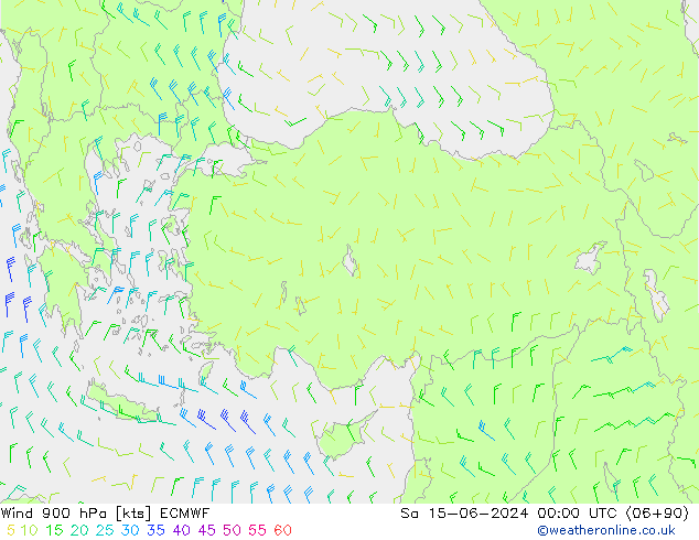 Wind 900 hPa ECMWF So 15.06.2024 00 UTC