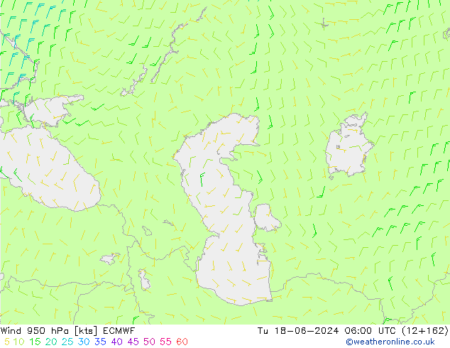 Wind 950 hPa ECMWF Tu 18.06.2024 06 UTC