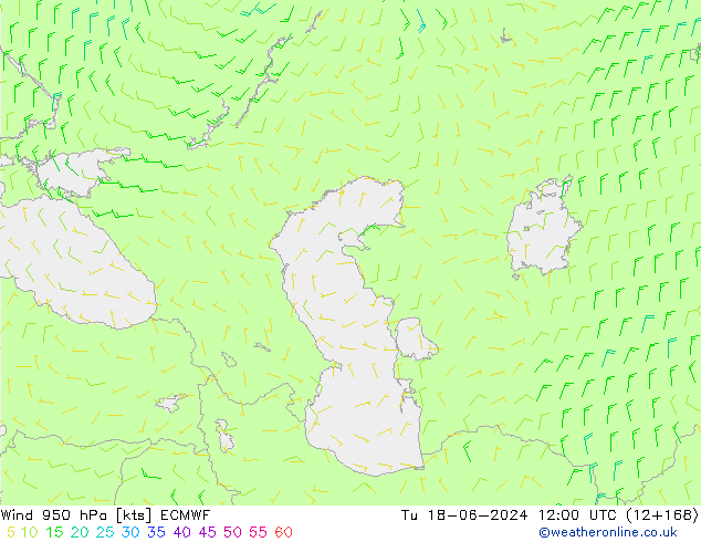 Rüzgar 950 hPa ECMWF Sa 18.06.2024 12 UTC