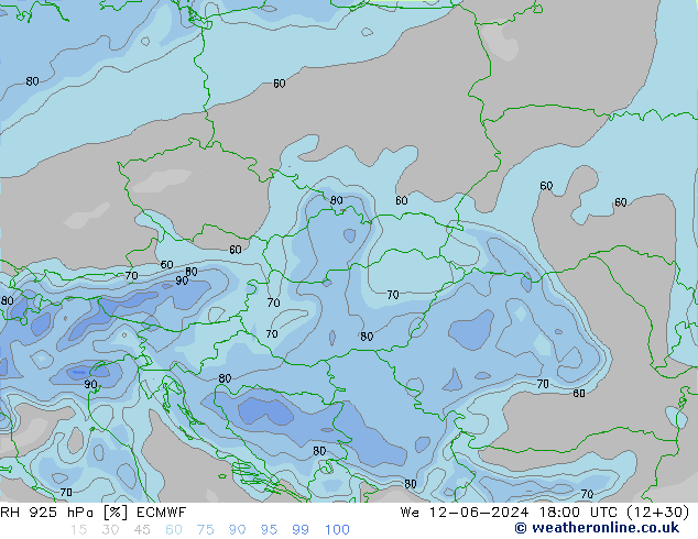 925 hPa Nispi Nem ECMWF Çar 12.06.2024 18 UTC