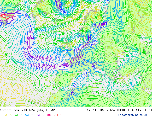 ветер 300 гПа ECMWF Вс 16.06.2024 00 UTC