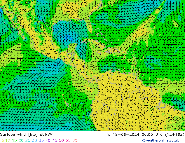 Surface wind ECMWF Tu 18.06.2024 06 UTC