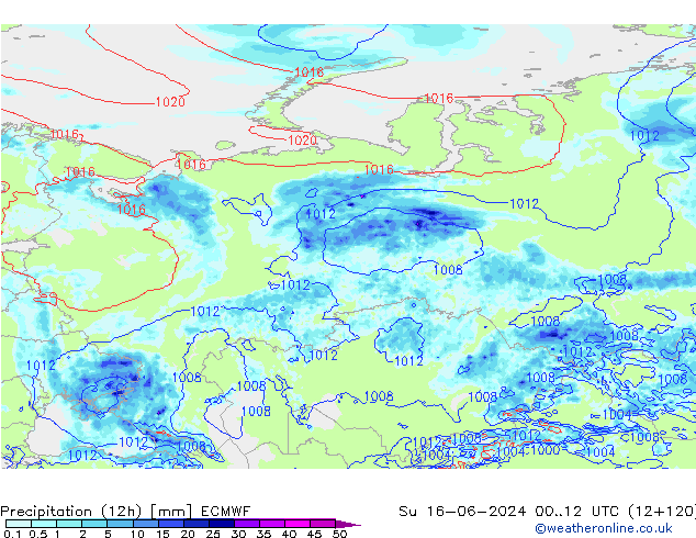 Precipitation (12h) ECMWF Su 16.06.2024 12 UTC