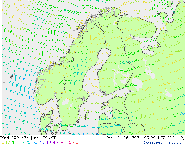 Wind 900 hPa ECMWF We 12.06.2024 00 UTC