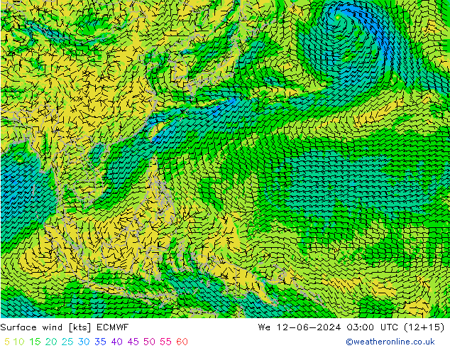 Viento 10 m ECMWF mié 12.06.2024 03 UTC