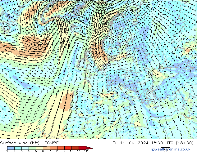 Bodenwind (bft) ECMWF Di 11.06.2024 18 UTC