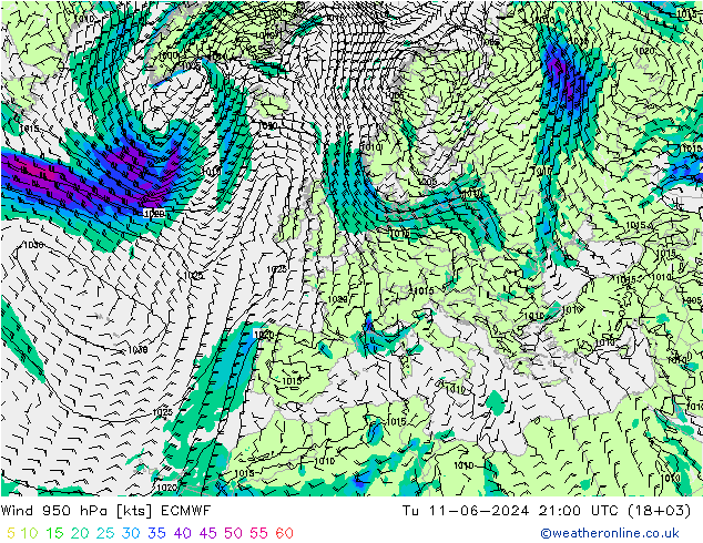风 950 hPa ECMWF 星期二 11.06.2024 21 UTC