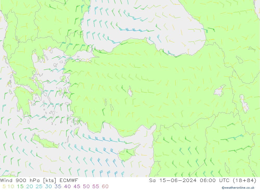 Wind 900 hPa ECMWF Sa 15.06.2024 06 UTC