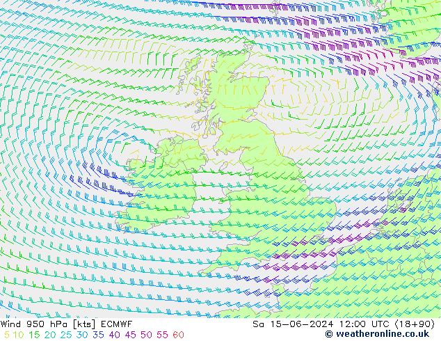  950 hPa ECMWF  15.06.2024 12 UTC