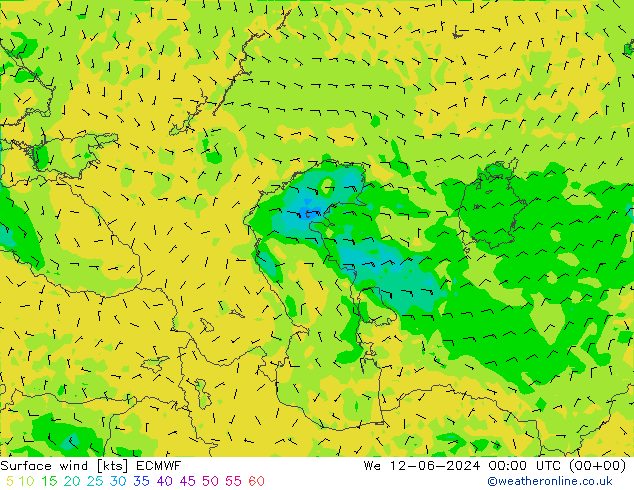  10 m ECMWF  12.06.2024 00 UTC