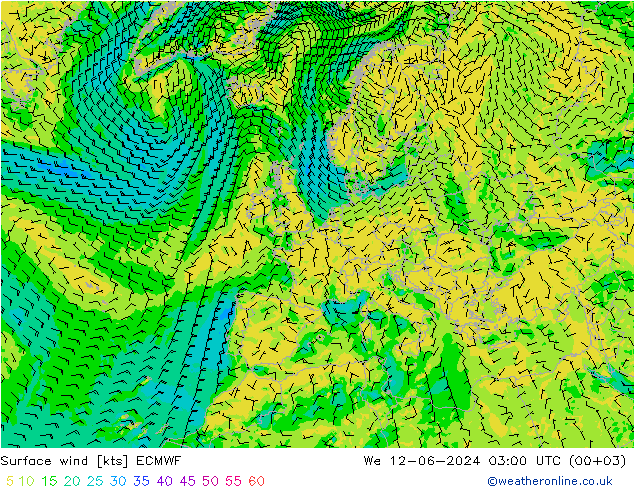 ветер 10 m ECMWF ср 12.06.2024 03 UTC