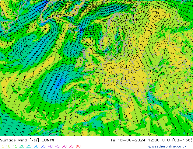 Surface wind ECMWF Tu 18.06.2024 12 UTC