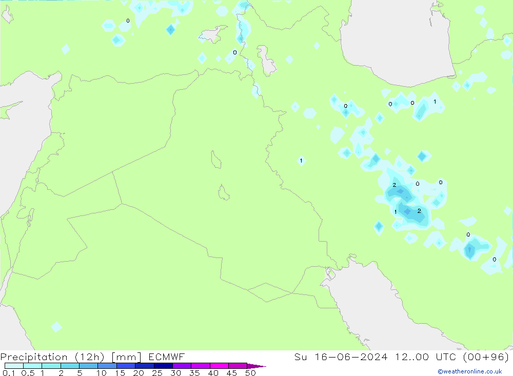 Precipitation (12h) ECMWF Ne 16.06.2024 00 UTC