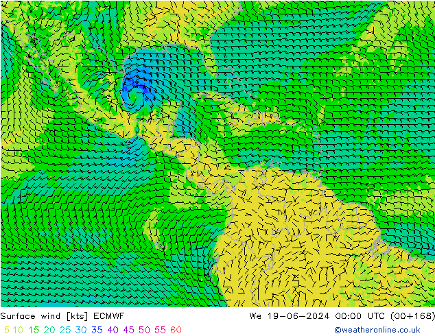 Wind 10 m ECMWF wo 19.06.2024 00 UTC