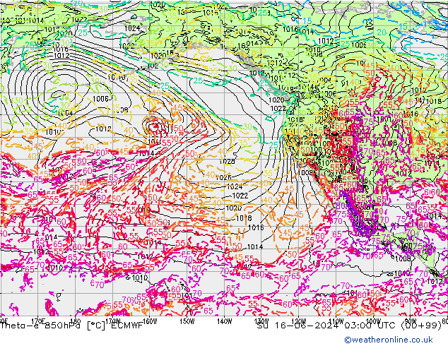 Theta-e 850hPa ECMWF dom 16.06.2024 03 UTC