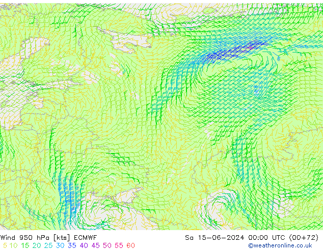 Wind 950 hPa ECMWF So 15.06.2024 00 UTC