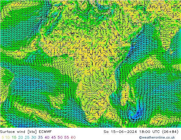 Prec 6h/Wind 10m/950 ECMWF Sa 15.06.2024 18 UTC