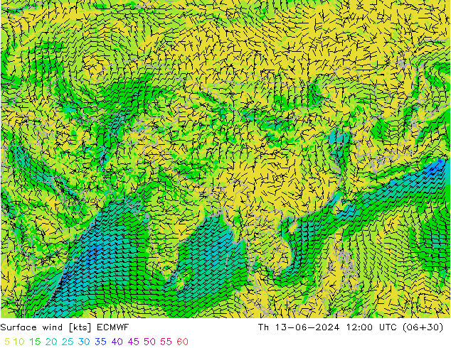 Wind 10 m ECMWF do 13.06.2024 12 UTC