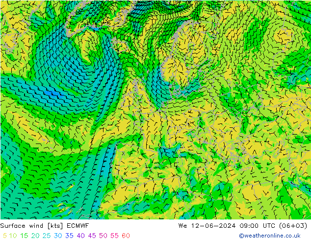 Bodenwind ECMWF Mi 12.06.2024 09 UTC