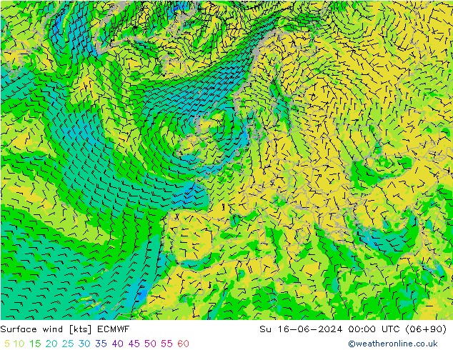 风 10 米 ECMWF 星期日 16.06.2024 00 UTC