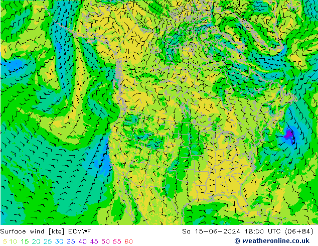 Bodenwind ECMWF Sa 15.06.2024 18 UTC