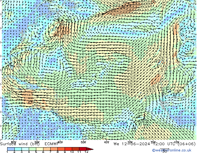 Surface wind (bft) ECMWF We 12.06.2024 12 UTC