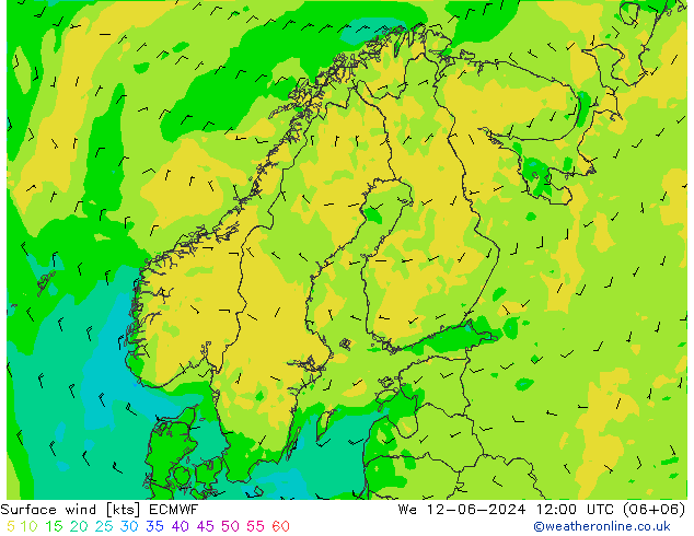 Vento 10 m ECMWF mer 12.06.2024 12 UTC