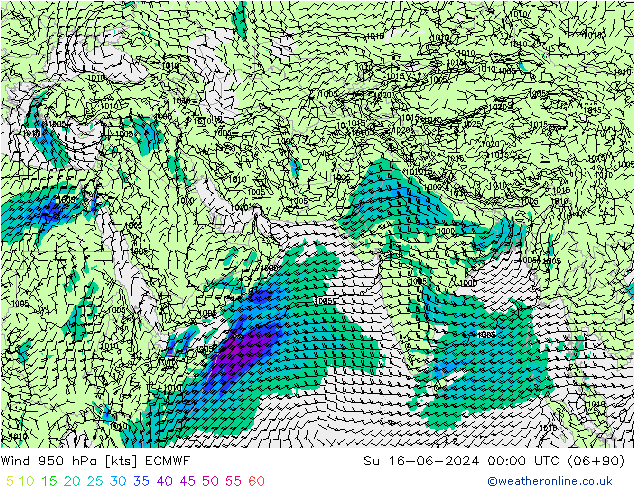  950 hPa ECMWF  16.06.2024 00 UTC