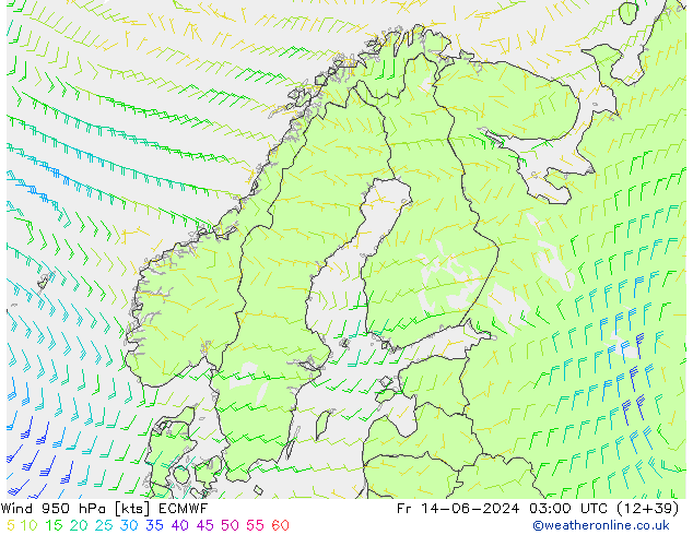 Wind 950 hPa ECMWF Fr 14.06.2024 03 UTC