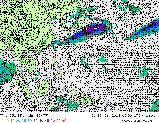 wiatr 950 hPa ECMWF nie. 16.06.2024 06 UTC