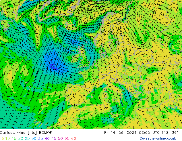 ветер 10 m ECMWF пт 14.06.2024 06 UTC