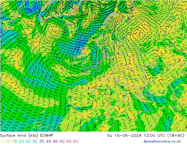 wiatr 10 m ECMWF nie. 16.06.2024 12 UTC