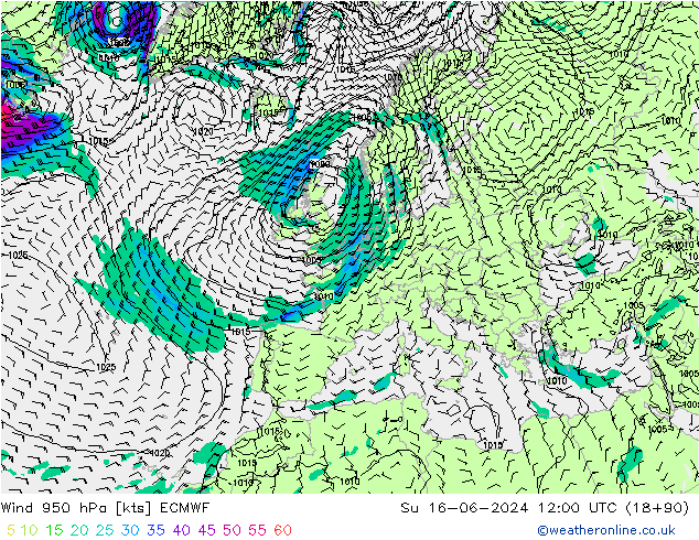 Wind 950 hPa ECMWF zo 16.06.2024 12 UTC