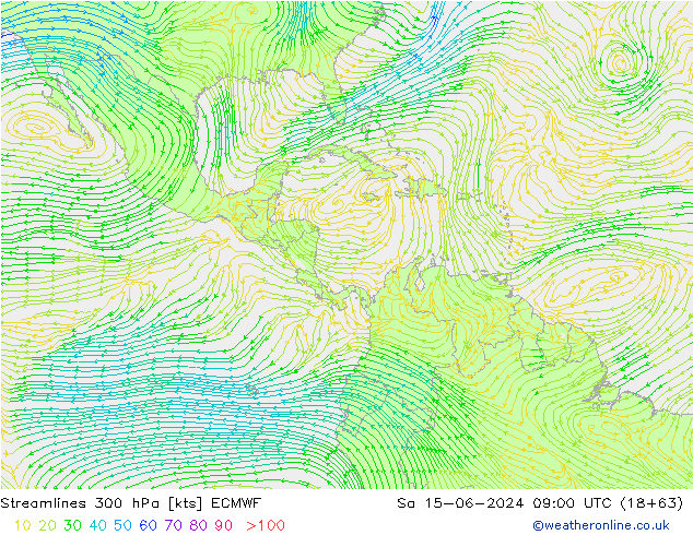 ветер 300 гПа ECMWF сб 15.06.2024 09 UTC