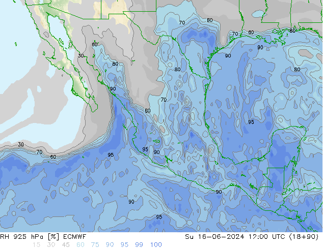 Humidité rel. 925 hPa ECMWF dim 16.06.2024 12 UTC