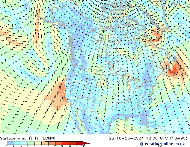 Surface wind (bft) ECMWF Su 16.06.2024 12 UTC