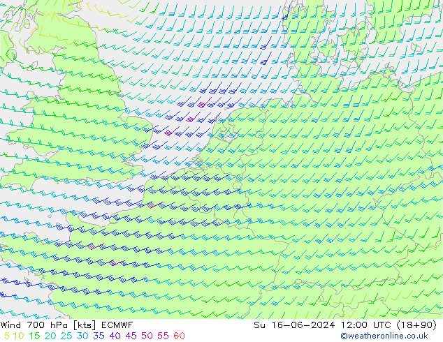 Wind 700 hPa ECMWF zo 16.06.2024 12 UTC